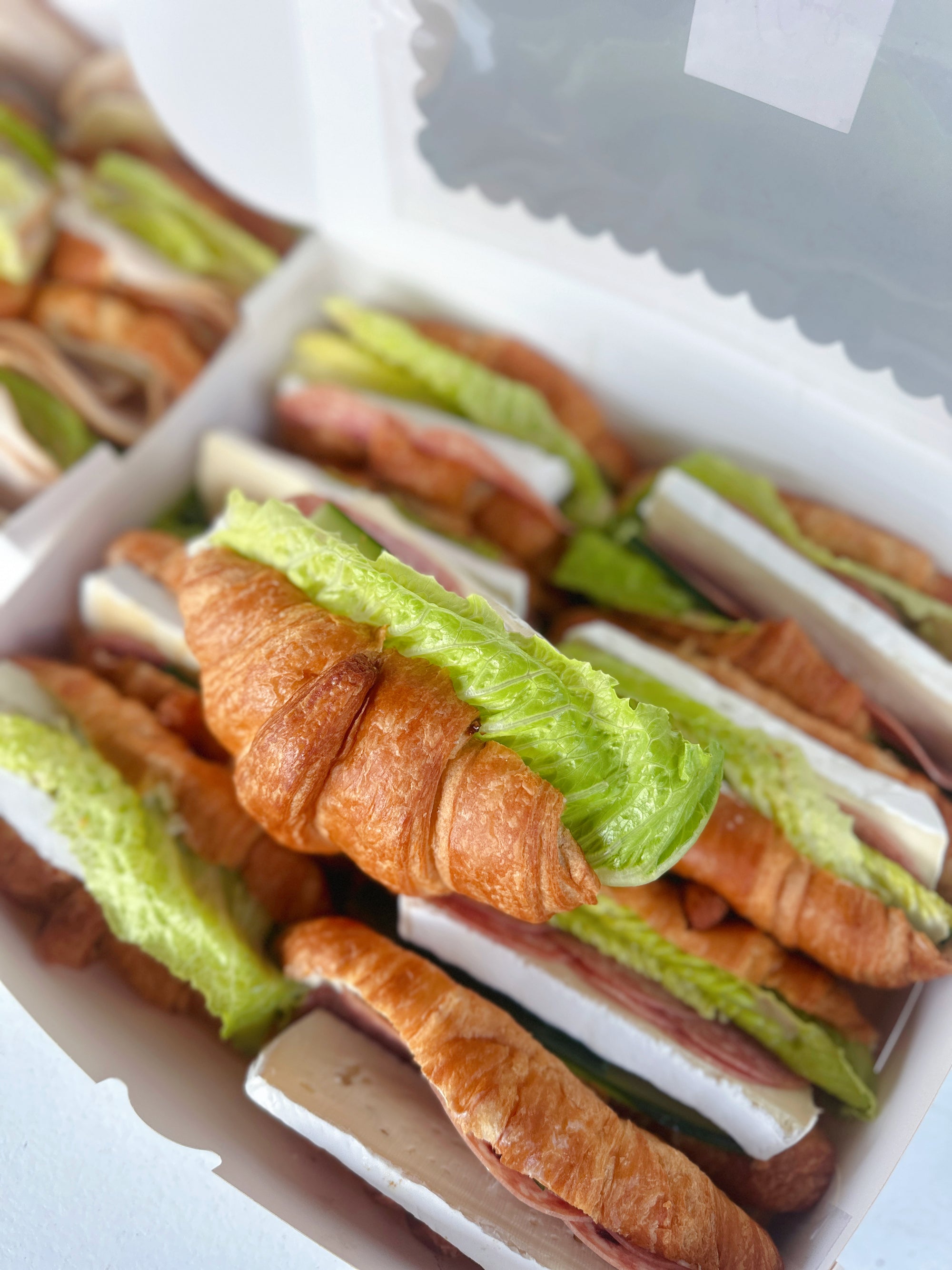 Gourmet Sandwiches